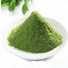 Best Quality Dehydrated Vegetable Spinach Powder For Dessert
